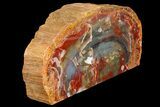 Colorful, Petrified Wood (Araucarioxylon) Stand-up - Arizona #180239-2
